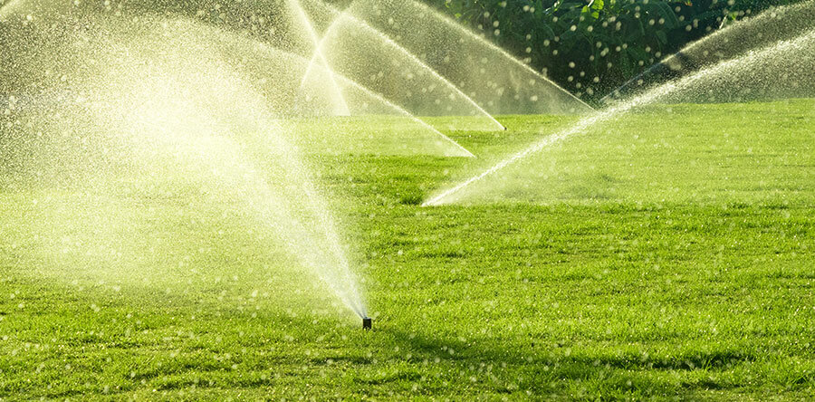 Gestire l'acqua in modo efficiente nel tappeto erboso