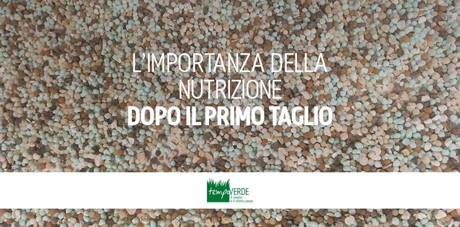 Limportanza-della-nutrizione-dopo-il-primo-taglio