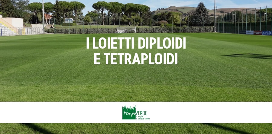 Il Loietto Diploide e Tetraploide