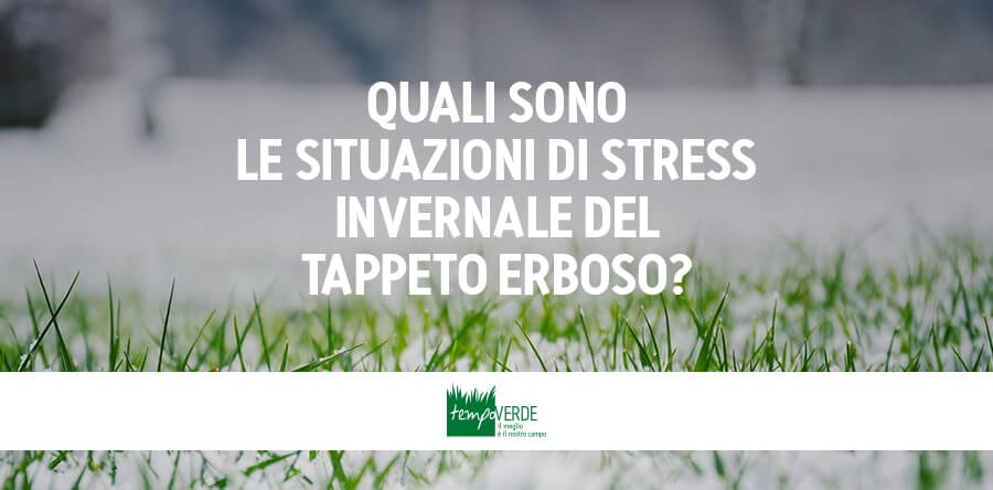 Quali Sono Le Situazioni Di Stress Invernale Del Tappeto Erboso?