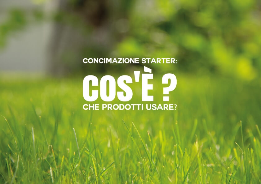 Concimazione Starter: Cos’è e Che Prodotti Usare?