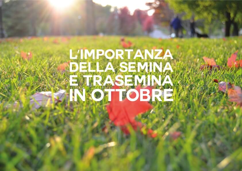 L'Importanza Della Semina e Trasemina In Ottobre