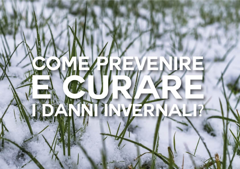 Come Prevenire e Curare i Danni Invernali?