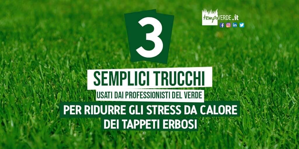 3 semplici trucchi usati dai professionisti del verde per ridurre gli stress da calore dei tappeti erbosi