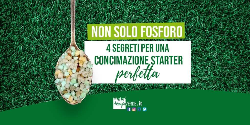 Non solo fosforo: 4 segreti per una concimazione starter perfetta