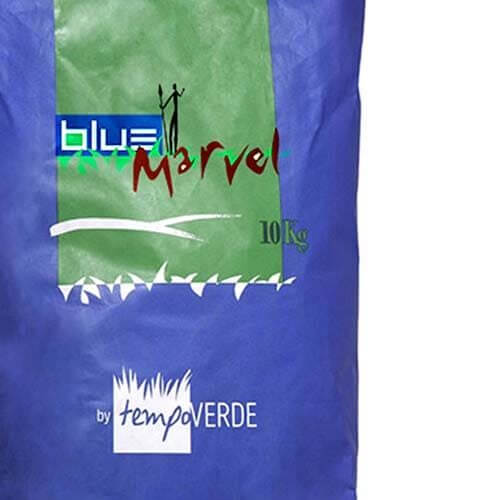 Blue Marvel: La gramigna migliorata si adatta ad aree mediterranee sottoposte a siccità e caldo prolungato