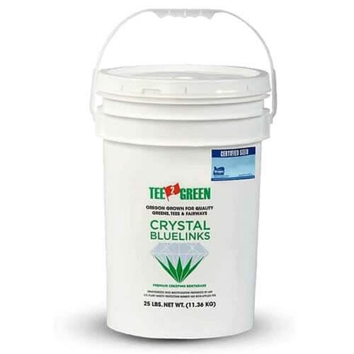 Crystal Blue Links tra le nuove varietà di Agrostis è quella a più rapido impianto e capacità colonizzatrice.