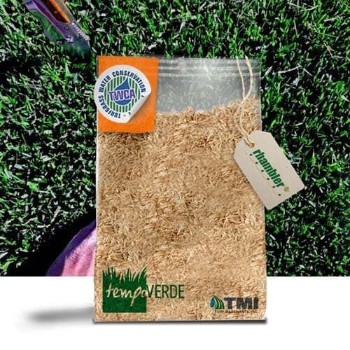 Rhambler SRP™ è una varietà di Festuca Arundinacea di nuova generazione