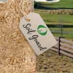 Soil Guard, nome sperimentale PST-4CU3 è una festuca ovina duriuscula selezionata per una ampia gamma di utilizzi come specie da inerbimento