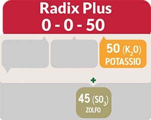 L’utilizzo di Nature Lab Radix Plus 0-0-50 è particolarmente indicato per le concimazioni aventi funzioni anti-stress e di miglioramento della funzionalità dell’apparato radicale.