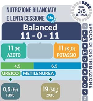 Nutrizione bilanciata e lenta cessione TurFeed Pro Balanced 11-0-11