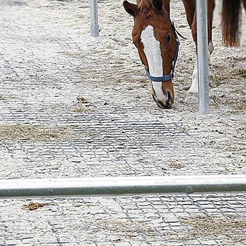 Grazie a Ecoraster® Elastic i terreni melmosi appartengono al passato.