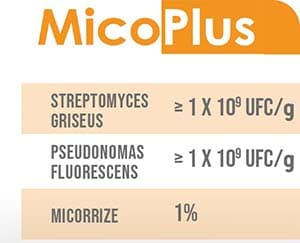 MicoPlus stimola lo sviluppo nella rizosfera di microrganismi