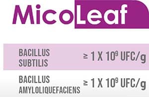 MicoLeaf è un valido strumento per il riequilibrio della microflora