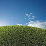 Fibermax ®massimizza l’efficienza dei pacciamanti
