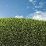 Fibermax ®massimizza l’efficienza dei pacciamanti
