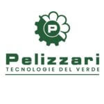 Pelizzari