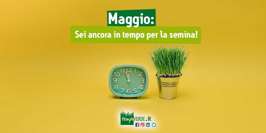 Maggio: sei ancora in tempo per la semina!