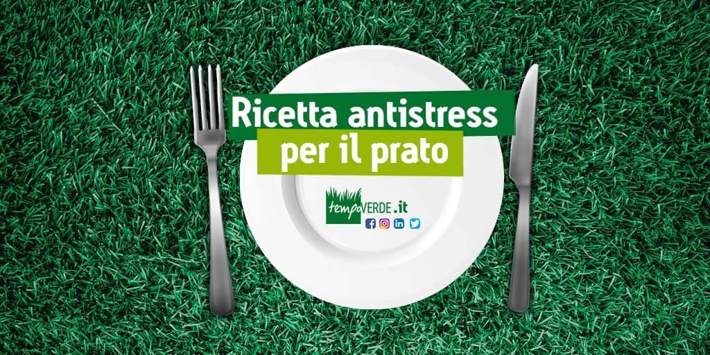 Siete in cerca di una ricetta antistress per il prato? Detto fatto! Quando le temperature aumentano è bene tenere sempre con se questa raccolta di consigli e prodotti per affrontare la stagione calda.