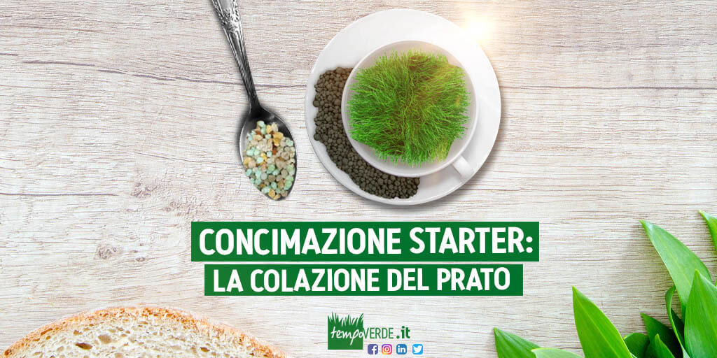 Concimazione starter Tempoverde la colazione del prato