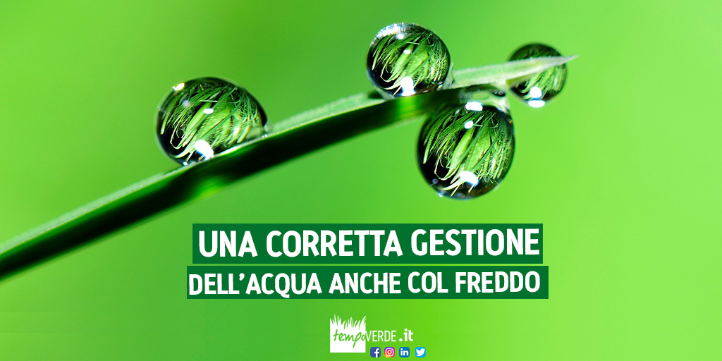 Generalmente quando si parla di gestione dell’acqua nella manutenzione del tappeto erboso si pensa quasi esclusivamente ai periodi più caldi dell’anno. Infatti, gli agenti umettanti vengono impiegati prevalentemente nella stagione tardo primaverile/estiva. È bene ricordare tuttavia che il corretto rapporto tra acqua ed aria nel terreno deve sempre essere rispettato, sia in estate che in inverno. Infatti Anche nei periodi invernali o autunnali è necessario che l’acqua nel terreno sia presente nella giusta quantità.