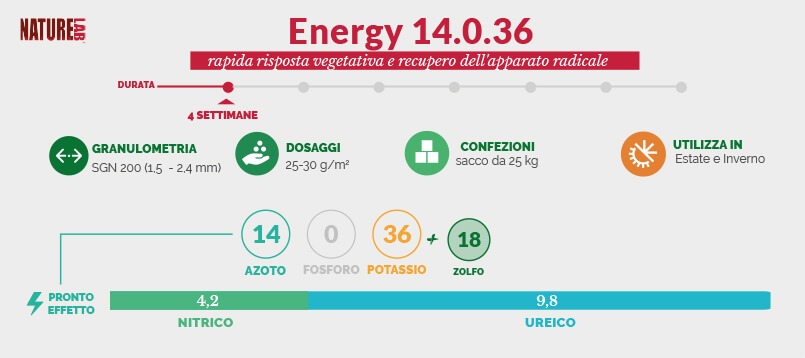 NatureLab Energy 14-0-36 è indicato in qualsiasi periodo dell’anno per effetti brevi ma intensi di riprese vegetative, di risvegli da stress, di colorazione immediata e di sviluppo dell’apparato radicale