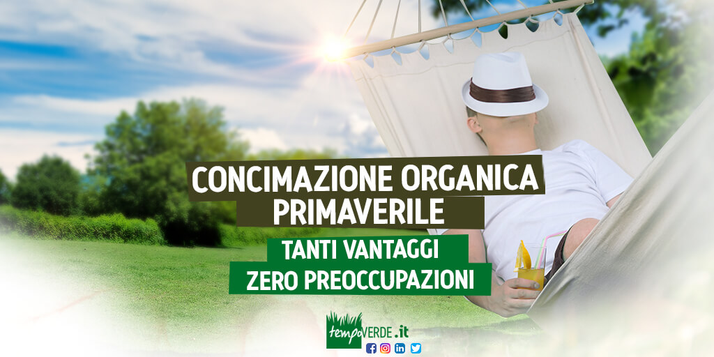 La sostanza organica nel terreno non è altro che l’insieme di residui animali e vegetali presenti nel suolo in diversi stadi di decomposizione. Ci riferiamo quindi alle foglie, alle deiezioni animali, alle carcasse degli animali che per opera dei microorganismi vengono lentamente degradate e decomposte completamente.