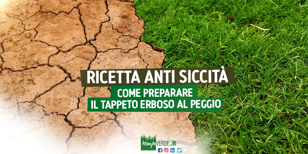 Siccità: la nuova piaga degli ultimi anni. Purtroppo questo è diventato un problema da non sottovalutare, soprattutto nel nord Italia. Pericoloso per il nostro paese e anche per la gestione del verde e dei tappeti erbosi. Anche il tappeto erboso più resisten