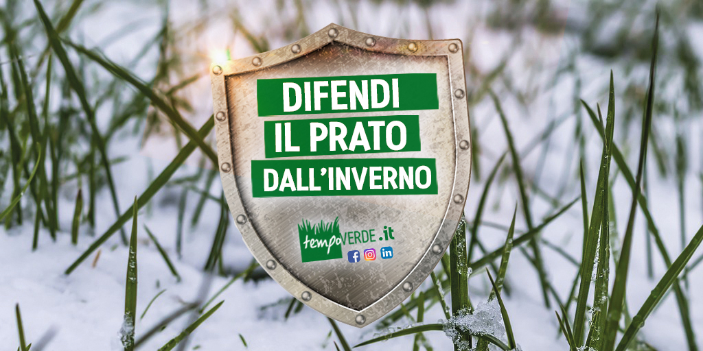 Nei periodi invernali il tappeto erboso può andare incontro a diverse situazioni di stress. Nel centro – nord Italia gli abbassamenti termici repentini e le gelate autunno – invernali possono causare rotture dei tessuti fogliari, disidratazione e, nel caso di prati calpestati, perdita di copertura del suolo.