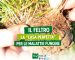 Blog Marzo